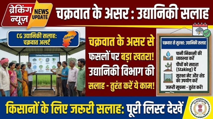 Chhattisgarh Horticulture Advisory : चक्रवात के असर से फसलों पर खतरा! किसानों को उद्यानिकी विभाग की सलाह, पानी निकासी और पौधों को सहारा देना जरूरी