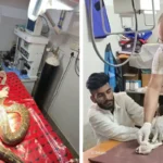 Python Surgery : स्नेकमैन 250 किमी दूर ले गया अजगर, 3 घंटे की सर्जरी में निकाला ट्यूमर