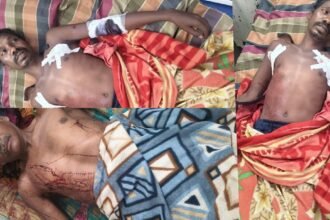 Leopard Attack Dhamtari : बैल का शिकार करने गांव पहुंचा तेंदुआ, मेहमान और गर्भवती महिला समेत 3 घायल