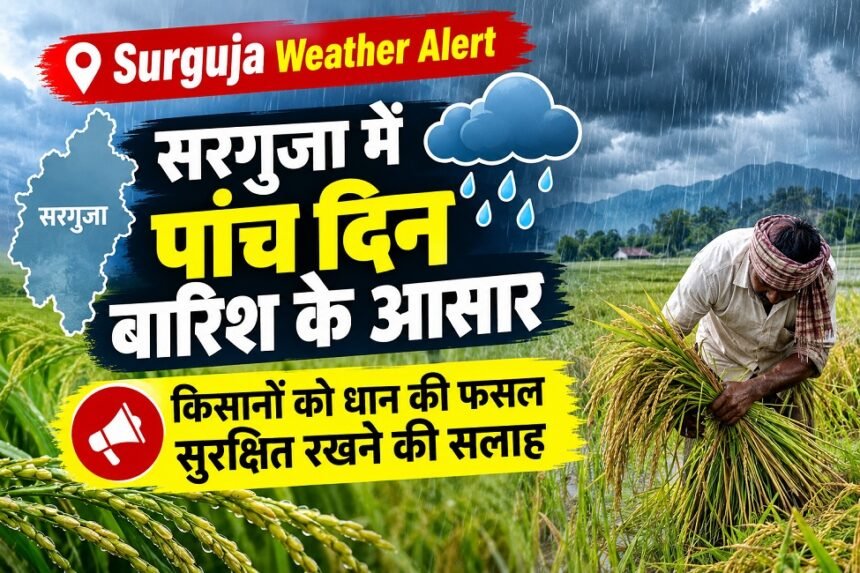 Surguja Weather Alert : सरगुजा में पांच दिन बारिश के आसार, किसानों को धान की फसल सुरक्षित रखने की सलाह