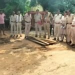 Illegal Teak Wood