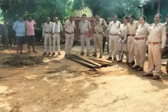 Illegal Teak Wood