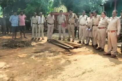 Illegal Teak Wood