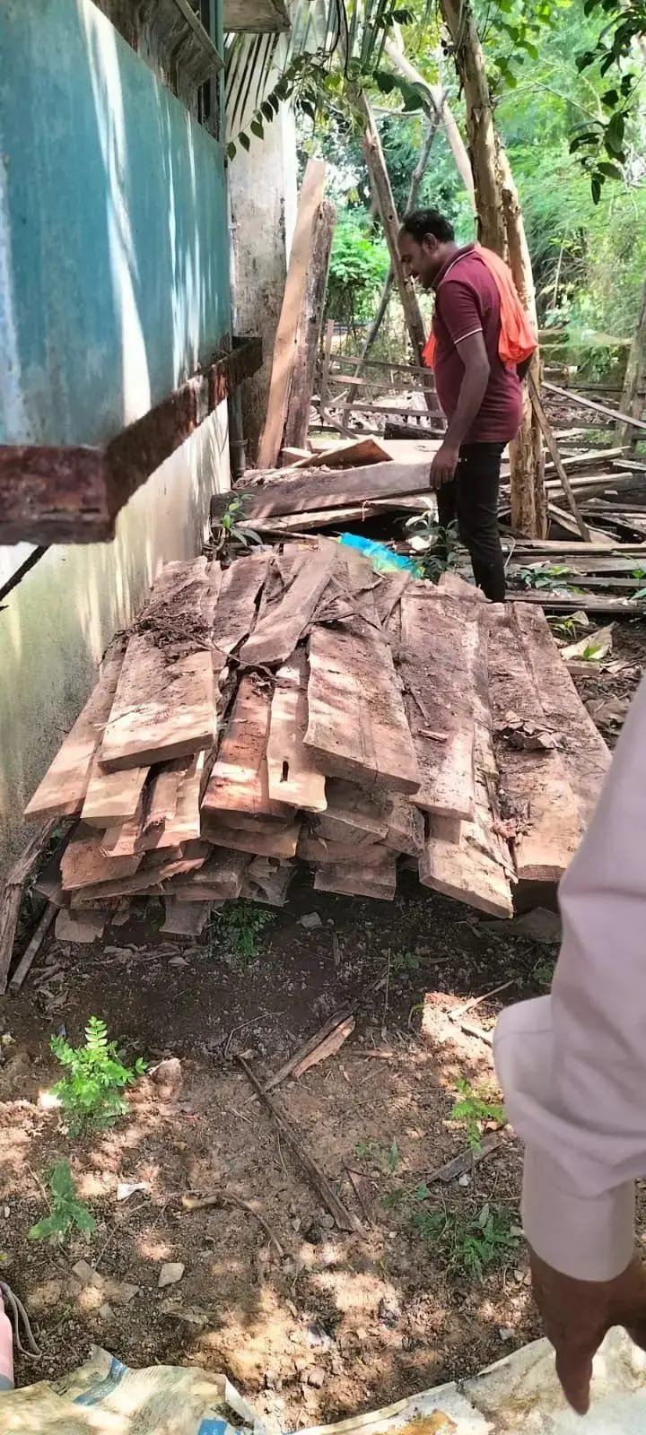 Illegal Teak Wood
