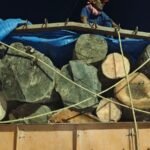 Timber Smuggling