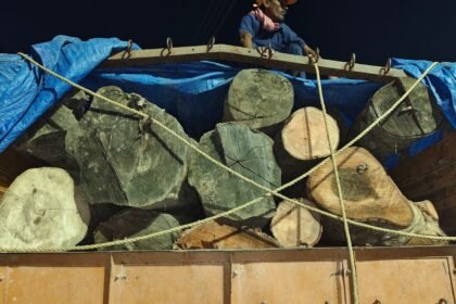 Timber Smuggling