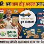 Krishak Unnati Yojana Ginger Farming : धान की खेती छोड़ अदरक उगाने लगे किसान, नई फसल अपनाकर खेती में किया बदलाव