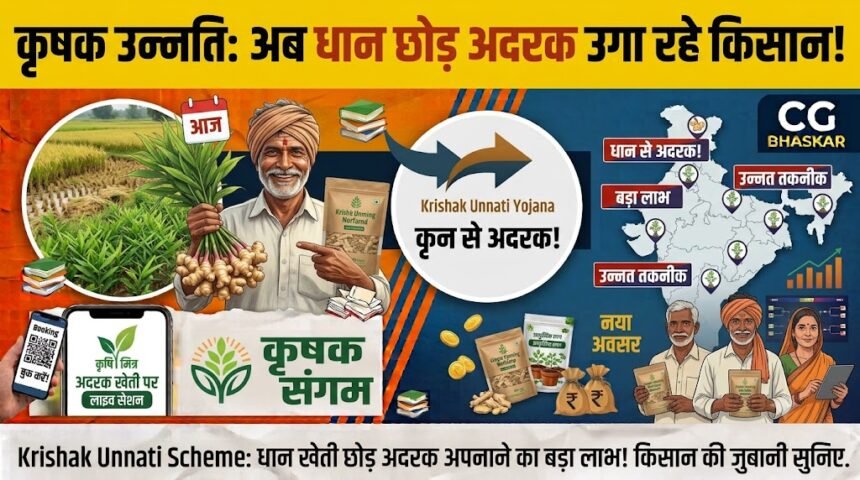 Krishak Unnati Yojana Ginger Farming : धान की खेती छोड़ अदरक उगाने लगे किसान, नई फसल अपनाकर खेती में किया बदलाव