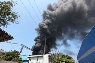 Bhilai Chemical Factory Fire