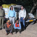 Illegal Paddy Transport Seized