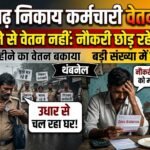 Chhattisgarh Salary Crisis : निकाय कर्मचारियों को 4-5 महीने से वेतन नहीं, नौकरी छोड़ने लगे कर्मचारी, उधार से चल रहा घर