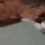 Durg JD Steel Plant Accident