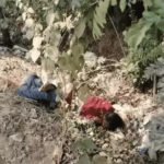 Surajpur Mother Son Murder Case