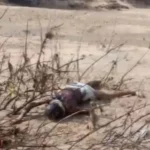 Mahanadi Dead Bodies : महानदी की झाड़ियों में फंसे दो शव, एक महिला का