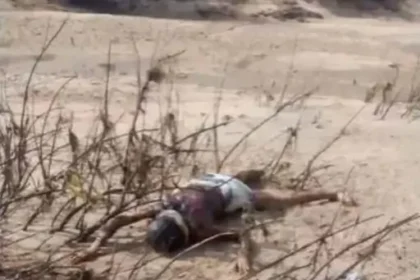 Mahanadi Dead Bodies : महानदी की झाड़ियों में फंसे दो शव, एक महिला का