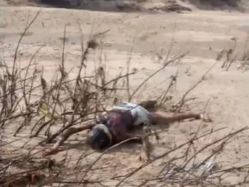 Mahanadi Dead Bodies : महानदी की झाड़ियों में फंसे दो शव, एक महिला का
