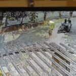Bilaspur Scooty Accident