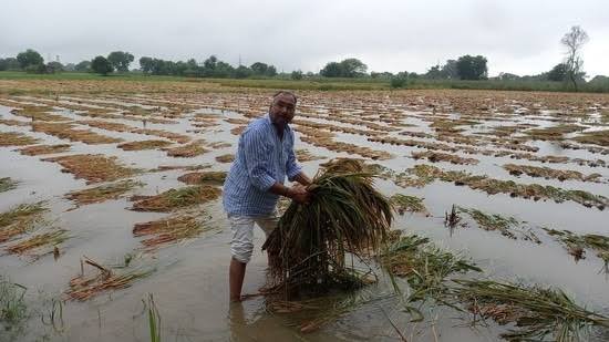 Raipur Rain