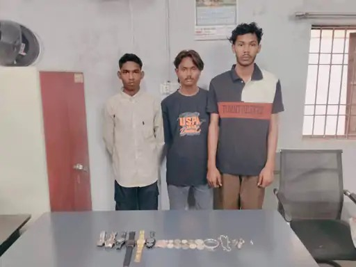 Raipur Dangania House Theft