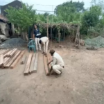 Illegal Sal Wood Seizure
