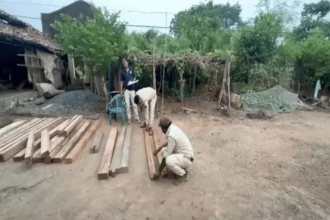 Illegal Sal Wood Seizure