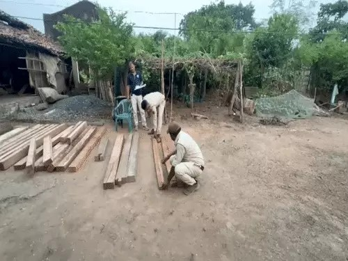 Illegal Sal Wood Seizure