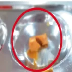 HNLU Raipur Food Controversy