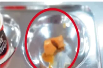 HNLU Raipur Food Controversy