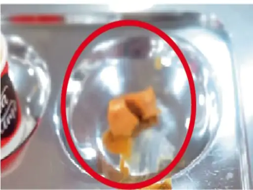 HNLU Raipur Food Controversy