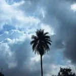 Chhattisgarh Weather Alert : छत्तीसगढ़ में 27 अक्टूबर से बढ़ेगी बारिश, बस्तर संभाग में रेड अलर्ट