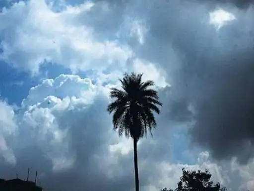 Chhattisgarh Weather Alert : छत्तीसगढ़ में 27 अक्टूबर से बढ़ेगी बारिश, बस्तर संभाग में रेड अलर्ट