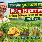 Krishak Unnati Yojana : धान छोड़ दूसरी फसल उगाने पर मिलेंगे 15 हजार रुपये प्रति एकड़, जानें क्या हैं नियम
