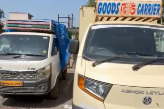 Cattle Smuggling