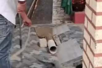 Snake Rescue